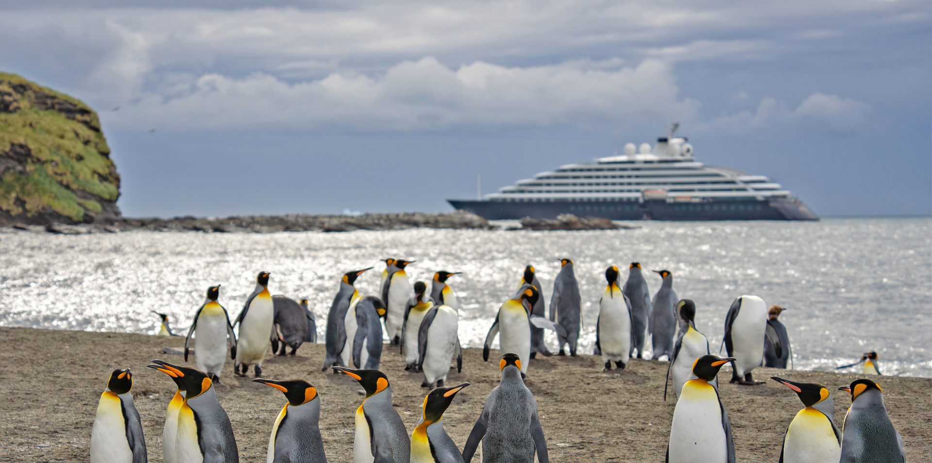 Antarctica, South Georgia and the Falkland Islands